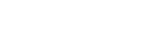 Flite Logo